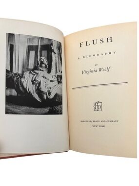 FIRST EDITION 1933➕FLUSH: A Biography By Virginia Woolf